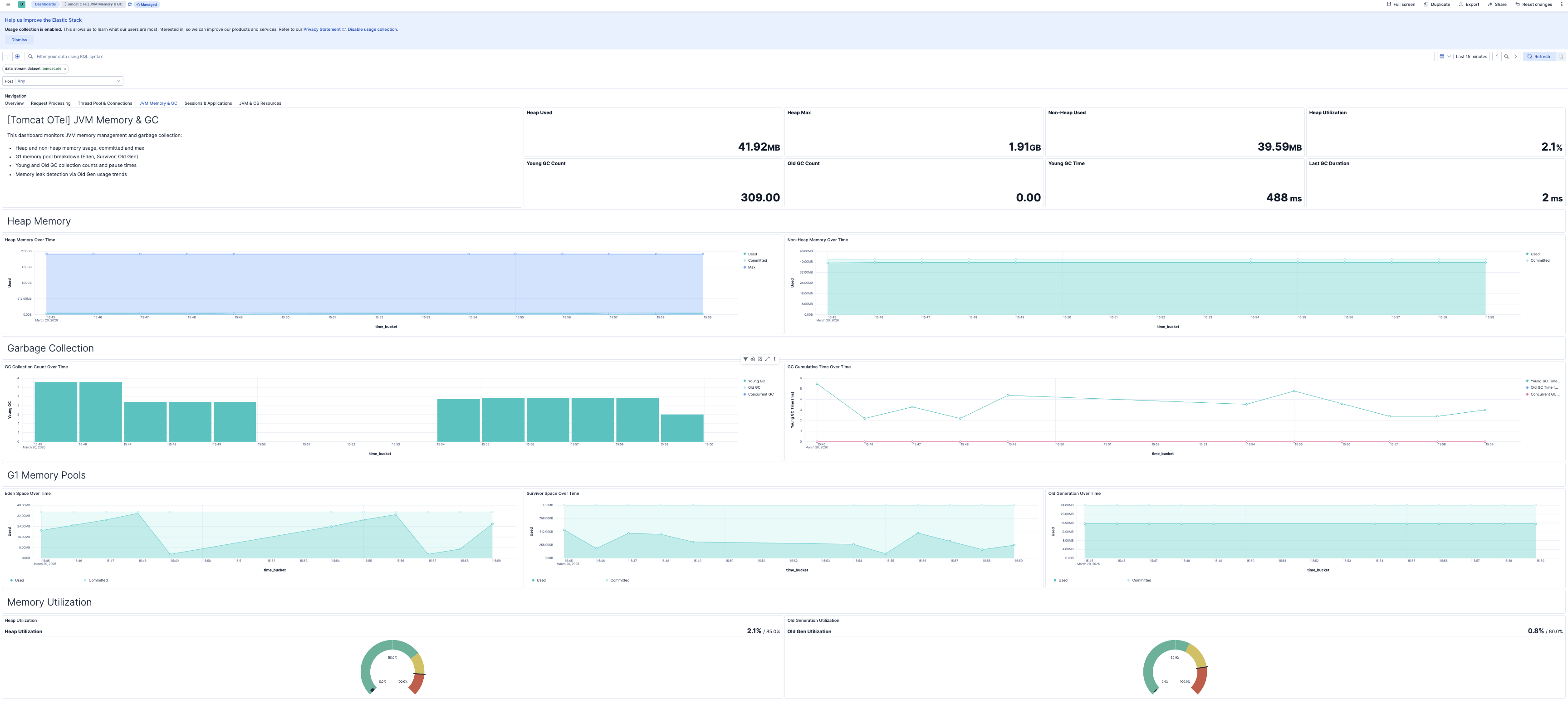 Apache Tomcat JVM Memory & GC